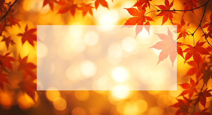 JPG 나무 편집이미지 단풍 잎 자연 바람 따뜻함 풍경 빨간색 빛 햇빛 고요 가을 색채 이미지편집 AI컴퓨터그래픽 AI콘텐츠 자연요소 식물 계절 컬러 날씨 태양 생태계 파일형식