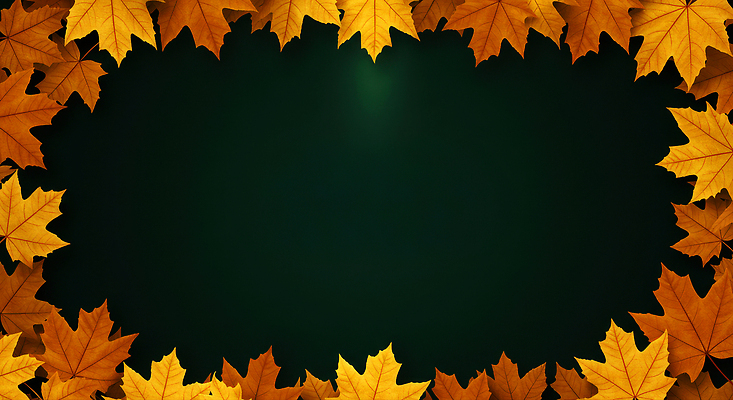 JPG 나무 편집이미지 계절 컬러 백그라운드 단풍 잎 자연 풍경 노란색 가을 황금 중앙 조화 뷰티풀 이미지편집 AI컴퓨터그래픽 AI콘텐츠 식물 생태계 파일형식