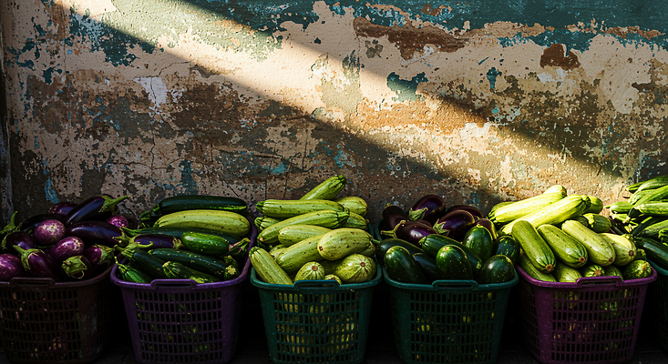 JPG 편집이미지 음식 채소 일상 초록색 농작물 바구니 다양 신선 시장 농부 편안함 신선도 편집실사 AI포토 AI콘텐츠 직업 컬러 다수 농업 라이프 감각 CG 파일형식