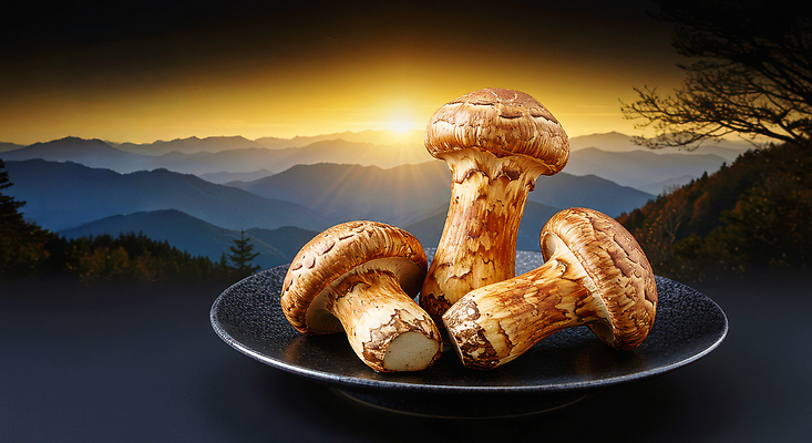 JPG 식물 편집이미지 접시 음료 자연 산 건강 요리 풍경 태양 일출 버섯 고요 생태 송이버섯 이미지편집 AI컴퓨터그래픽 AI콘텐츠 자연요소 식기 노을 생태계 파일형식