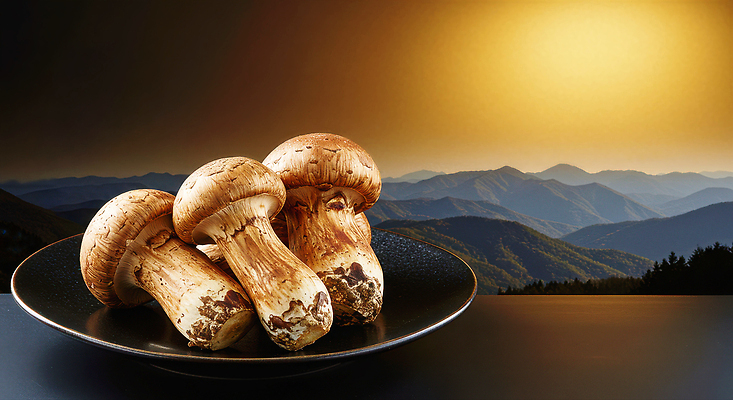 JPG 편집이미지 음식 재료 자연 산 요리 풍경 버섯 고요 일몰 금색 탐험 신선 저녁 송이버섯 건강식 이미지편집 AI컴퓨터그래픽 AI콘텐츠 컬러 노을 야간 생태계 파일형식