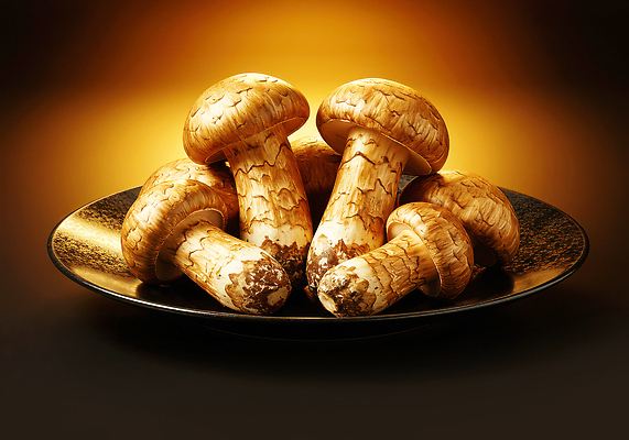 JPG 편집이미지 접시 음식 백그라운드 재료 자연 식탁 조명 건강 요리 버섯 금색 신선 질감 부드러움 송이버섯 이미지편집 AI컴퓨터그래픽 AI콘텐츠 영양군 식기 컬러 탁자 감각 경상북도 생태계 파일형식