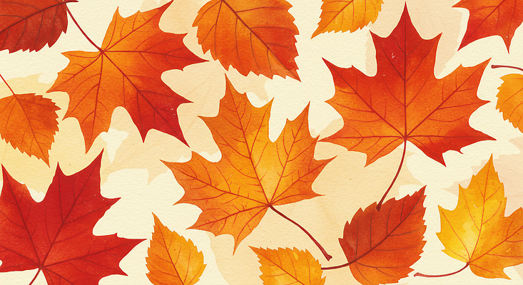 JPG 계절 컬러 백그라운드 단풍 잎 일러스트 자연 생명 날씨 형상 풍경 빨간색 주황색 공백 감상 가을 진화 변화 배열 뷰티풀 국내일러스트 AI일러스트 AI콘텐츠 식물 컨셉 소방 생태계 파일형식