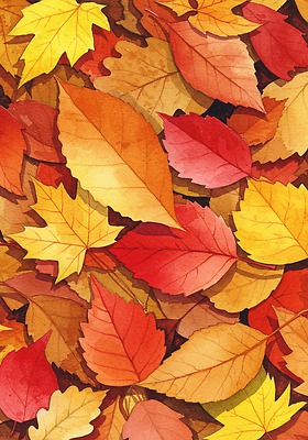 JPG 나무 계절 컬러 단풍 일러스트 자연 나뭇잎 바닥 풍경 잔디 환경 산책 감상 가을 떨어짐 입체 지역 뷰티풀 국내일러스트 AI일러스트 AI콘텐츠 식물 컨셉 잎 휴식 생태계 파일형식