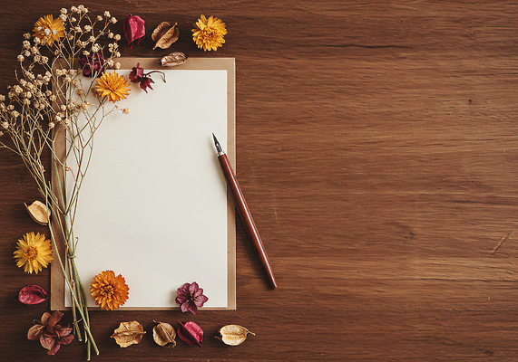 JPG 나무 편집이미지 디자인 꽃잎 자연 탁자 문구용품 인테리어 가을 편안함 편지 오브젝트 향기 드라이플라워 창의성 편집실사 AI포토 AI콘텐츠 식물 계절 꽃 가구 감각 CG 생태계 냄새 파일형식