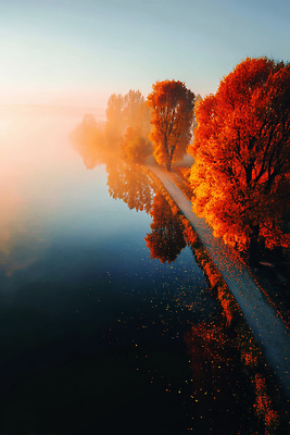 JPG 나무 편집이미지 호수 자연 단풍나무 아침 나뭇잎 풍경 물 반사 평화 주황색 고요 산책로 안개 가을 강가 이미지편집 AI컴퓨터그래픽 AI콘텐츠 주간 자연요소 식물 계절 길 컬러 컨셉 단풍 잎 날씨 강 생태계 파일형식