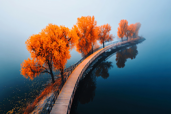 JPG 나무 편집이미지 단풍 자연 단풍나무 아침 풍경 평화 고요 감상 안개 가을 물가 발전 강가 이미지편집 AI컴퓨터그래픽 AI콘텐츠 주간 식물 계절 컨셉 잎 날씨 강 생태계 파일형식