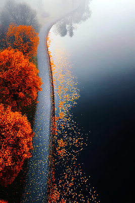 JPG 나무 편집이미지 호수 물결 컬러 여행 단풍 자연 단풍나무 풍경 반사 고요 산책 산책로 가을 강가 이미지편집 AI컴퓨터그래픽 AI콘텐츠 식물 계절 길 잎 휴식 강 생태계 파일형식