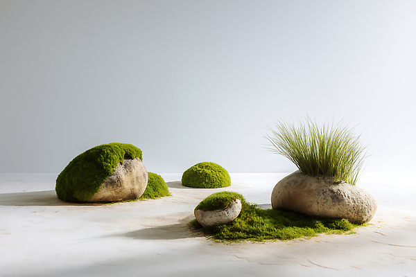 JPG 식물 편집이미지 디자인 컬러 자연 생명 실내 이끼 풍경 장식 평화 돌_바위 조화 안식처 편집실사 AI포토 AI콘텐츠 컨셉 휴식 내부 CG 생태계 파일형식