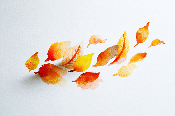 JPG 디자인 계절 예술 컬러 낙엽 잎 일러스트 자연 나뭇잎 수채화 창조 풍경 노란색 주황색 물감 그림 부드러움 감성 뷰티풀 색채 국내일러스트 AI일러스트 AI콘텐츠 식물 컨셉 미술도구 감각 생태계 파일형식