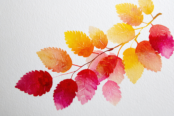 JPG 식물 디자인 감정 예술 컬러 단풍 낙엽 잎 일러스트 자연 수채화 따뜻함 빨간색 노란색 표현 그림 뷰티풀 창작 국내일러스트 AI일러스트 AI콘텐츠 생태계 파일형식