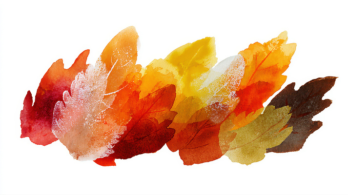 JPG 나무 식물 계절 예술 컬러 단풍 낙엽 잎 일러스트 자연 생명 풍경 빨간색 주황색 감상 금색 변화 그림 뷰티풀 국내일러스트 AI일러스트 AI콘텐츠 컨셉 생태계 파일형식
