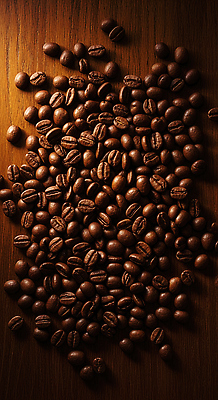 JPG 나무 편집이미지 커피 음료 자연 탁자 조명 카페 원두 마시기 원두커피 향기 로스팅 편집실사 AI포토 AI콘텐츠 식물 가구 모션 상점 CG 생태계 냄새 파일형식