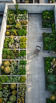 JPG 식물 편집이미지 의자 자연 선인장 풍경 초록색 정원 고요 공간 도시 옥상 식물원 조경 화단 편집실사 AI포토 AI콘텐츠 컬러 가구 CG 생태계 파일형식