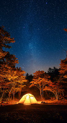 JPG 나무 편집이미지 별 여행 자연 하늘 텐트 풍경 취미 야외 여름 빛 캠핑 가을 캠핑장 편집실사 AI포토 AI콘텐츠 자연요소 식물 계절 레저 캠핑도구 CG 생태계 파일형식