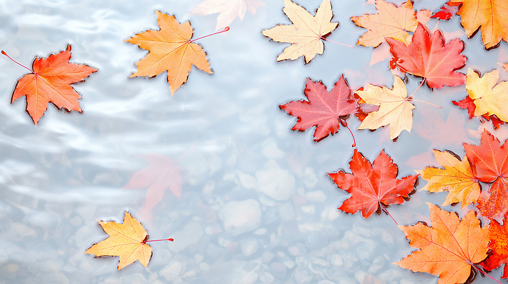 JPG 편집이미지 물결 컬러 단풍 잎 자연 나뭇잎 풍경 물 반사 가을풍경 고요 가을 수면 뷰티풀 편집실사 AI포토 AI콘텐츠 자연요소 식물 계절 CG 생태계 파일형식 가을_계절