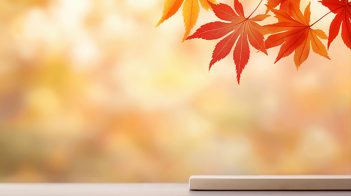 JPG 나무 편집이미지 컬러 백그라운드 단풍 잎 자연 풍경 빨간색 햇빛 평화 감성 조화 뷰티풀 청명 편집실사 AI포토 AI콘텐츠 식물 컨셉 태양 CG 생태계 파일형식