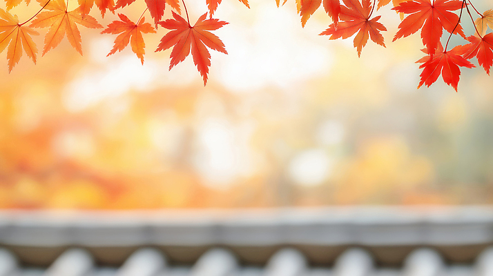 JPG 편집이미지 전통 컬러 여행 단풍 자연 나뭇잎 한국 기와 풍경 햇빛 산책 조경 뷰티풀 고택 편집실사 AI포토 AI콘텐츠 건축물 아시아 잎 휴식 태양 CG 생태계 파일형식
