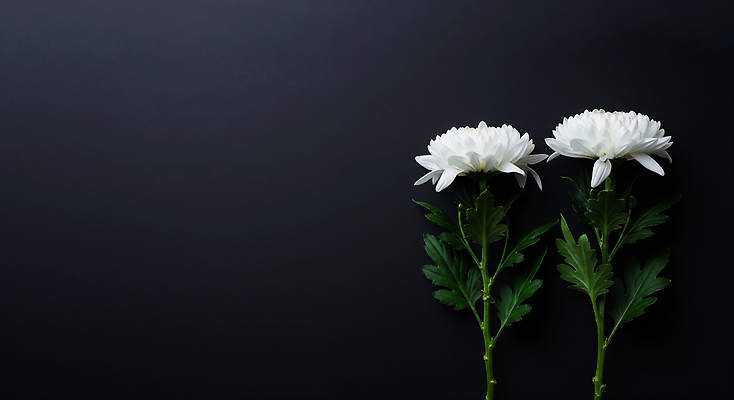 JPG 식물 편집이미지 꽃 꽃다발 잎 자연 생명 국화 장식 정원 성장 신선 조용 뷰티풀 추모 편집실사 AI포토 AI콘텐츠 CG 생태계 파일형식