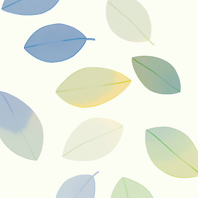 JPG 식물 디자인 컬러 백그라운드 잎 패턴 일러스트 자연 평화 흰색 투명 편안함 그림 질감 부드러움 감성 천연 조화 뷰티풀 국내일러스트 AI일러스트 AI콘텐츠 컨셉 무늬 감각 생태계 파일형식