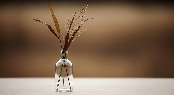 JPG 식물 편집이미지 꽃 자연 유리병 인테리어 공간 빈티지 투명 오브젝트 심플 감성 조화 드라이플라워 뷰티풀 편집실사 AI포토 AI콘텐츠 디자인 컨셉 병_용기 CG 생태계 파일형식