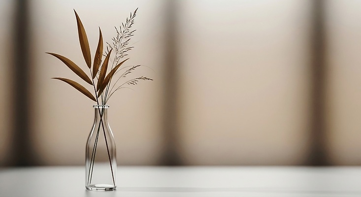 JPG 식물 편집이미지 디자인 백그라운드 자연 장식 인테리어 꽃병 투명 편안함 질감 부드러움 감성 세련 편집실사 AI포토 AI콘텐츠 꽃 컨셉 감각 CG 생태계 파일형식