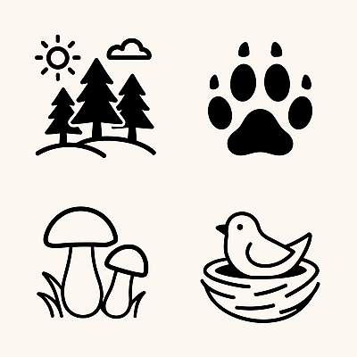 나무 동물 아이콘 자연 조류 태양 환경 버섯 둥지 숲 발자국 생태계 2D아이콘 AI파일 자연요소 식물 자국 파일형식 벡터