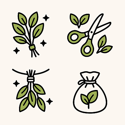 식물 아이콘 잎 포장 자연 봉투 요리 농사 묶기 허브 원예 허브차 2D아이콘 AI파일 농업 모션 취미 차_음료 생태계 파일형식 벡터
