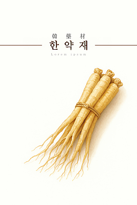 PSD 식물 전통 농업 일러스트 자연 스트레스 건강 약재 한약재 인삼 약초 뿌리 레시피 면역력 리튬 국내일러스트 산업 약 풀_식물 삼 생태계 파일형식