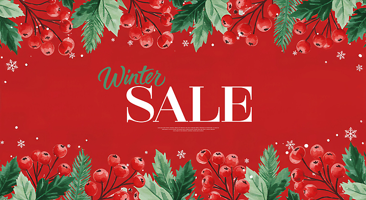 JPG 열매 컬러 잎 크리스마스 겨울 일러스트 자연 장식 빨간색 쇼핑 세일 분위기 소비 고지 마케팅 소셜미디어 연말 프로모션 국내일러스트 AI일러스트 AI콘텐츠 식물 계절 기념일 컨셉 이벤트 생태계 파일형식