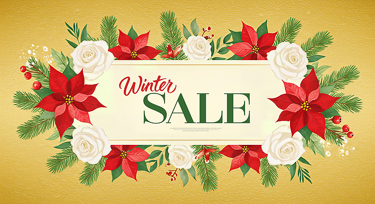 JPG 계절 꽃 컬러 백그라운드 크리스마스장식 크리스마스 겨울 일러스트 간판 이벤트 장식 빨간색 초록색 세일 흰색 화려 알림 포인세티아 국내일러스트 AI일러스트 AI콘텐츠 식물 기념일 컨셉 파일형식