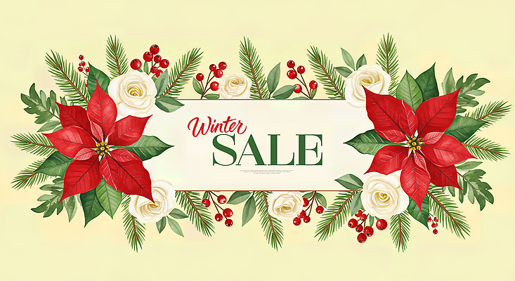 JPG 디자인 배너 꽃 크리스마스 겨울 일러스트 자연 이벤트 장식 세일 상점 축제 소비 겨울꽃 드로잉 포인세티아 마케팅 뷰티풀 프로모션 국내일러스트 AI일러스트 AI콘텐츠 식물 계절 기념일 미술 생태계 파일형식