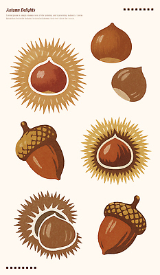 PSD 식물 전통 디자인 계절 열매 음식 컬러 일러스트 재료 자연 미술 풍경 수확 추수 밤 오브젝트 도토리 국내일러스트 농업 문화예술 견과류 생태계 파일형식