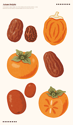PSD 식물 웰빙 디자인 예술 컬러 백그라운드 과일 일러스트 자연 귤 따뜻함 감 씨앗 귀여움 수확 빈티지 원형 수도 대추 먹거리 색감 국내일러스트 도형 음식 컨셉 농업 생태계 파일형식