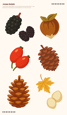 PSD 식물 디자인 계절 열매 단풍 과일 일러스트 자연 날씨 풍경 농작물 수확 솔방울 생강 블랙베리 먹거리 색감 국내일러스트 음식 잎 농업 채소 생태계 파일형식