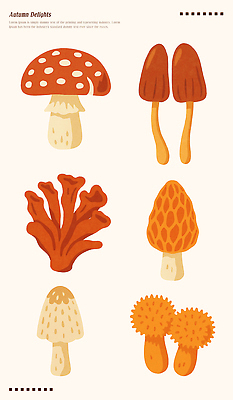 모양 PSD 식물 컬러 농업 채소 일러스트 자연 풍경 장식 갈색 환경 주황색 버섯 뷰티풀 식용 국내일러스트 산업 생태계 파일형식