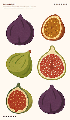 PSD 식물 문양 디자인 예술 컬러 패턴 농업 채소 과일 일러스트 자연 건강 다양 수확 신선 원예 무화과 먹거리 국내일러스트 산업 음식 다수 무늬 취미 생태계 파일형식