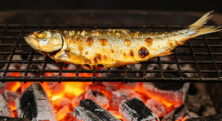 JPG 편집이미지 음식 재료 불꽃 어류 요리 식사 저녁식사 맛 바비큐 구이 해산물 향기 숯불 편집실사 AI포토 AI콘텐츠 컨셉 불 수중동물 CG 냄새 파일형식