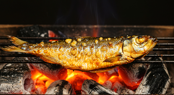 JPG 편집이미지 가족 자연 아침 불꽃 어류 요리 야외 맛 저녁 모닥불 구이 주말 숯불 먹거리 편집실사 AI포토 AI콘텐츠 주간 음식 컨셉 관계 불 수중동물 야간 CG 생태계 파일형식