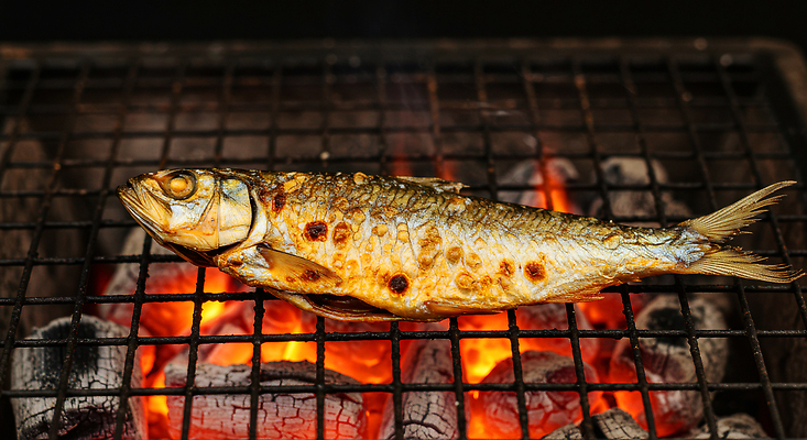 JPG 편집이미지 음식 불 불꽃 디저트 육류 어류 요리 야외 식사 오픈 맛 그릴 바비큐 구이 숯불 편집실사 AI포토 AI콘텐츠 자연요소 컨셉 식재료 주방용품 수중동물 CG 파일형식