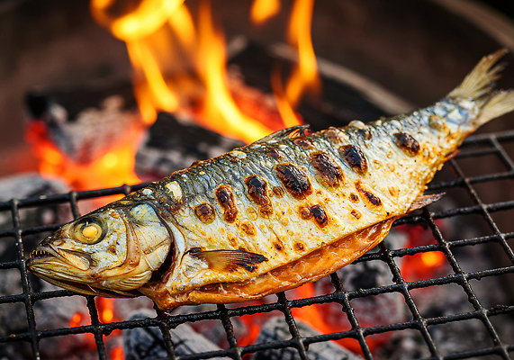 JPG 편집이미지 재료 자연 불꽃 육류 어류 요리 식사 연기 맛 그릴 저녁 바비큐 숯불 편집실사 AI포토 AI콘텐츠 음식 컨셉 식재료 주방용품 불 수중동물 야간 CG 생태계 파일형식