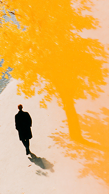 JPG 나무 남자 길 여유 일러스트 자연 그림자 풍경 일상 햇빛 평화 걷기 고요 황혼 산책 가을 도시 오후 청명 혼자 국내일러스트 AI일러스트 AI콘텐츠 식물 계절 감정 컨셉 모션 휴식 사람 라이프 태양 일몰 생태계 파일형식