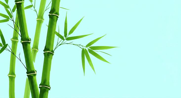 JPG 식물 디자인 줄기 백그라운드 잎 일러스트 자연 생명 미술 초록색 평화 환경 성장 숲 대나무 그림 식물원 조화 국내일러스트 AI일러스트 AI콘텐츠 나무 컬러 컨셉 문화예술 생태계 파일형식