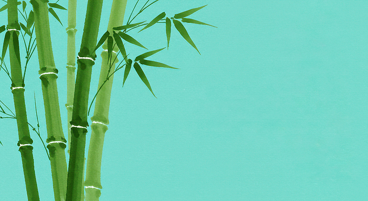 JPG 식물 디자인 예술 배경화면 백그라운드 일러스트 자연 생명 초록색 평화 환경 정원 숲 대나무 장면 뷰티풀 탄소 국내일러스트 AI일러스트 AI콘텐츠 나무 컬러 컨셉 생태계 파일형식