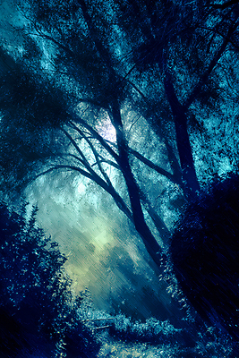 JPG 나무 일러스트 자연 하늘 생명 그림자 풍경 파란색 빛 햇빛 평화 고요 일몰 신선 숲 신비 조화 우울감 국내일러스트 AI일러스트 AI콘텐츠 식물 감정 컬러 컨셉 태양 노을 생태계 파일형식