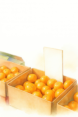 JPG 과일 일러스트 자연 귤 여름 농작물 상자 판매 농사 수확 시장 농부 가격표 주말 건강식품 과일가게 전통시장 국내일러스트 AI일러스트 AI콘텐츠 직업 전통 계절 음식 농업 건강 상점 생태계 파일형식