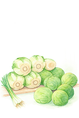 JPG 음식 채소 일러스트 재료 자연 식탁 양파 건강 요리 농장 식사 신선 시장 배추 레시피 비타민 신선도 국내일러스트 AI일러스트 AI콘텐츠 농업 탁자 생태계 영양소 파일형식