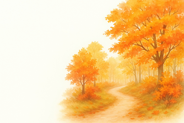 JPG 나무 길 컬러 잎 일러스트 자연 하늘 따뜻함 풍경 노란색 주황색 소리 고요 산책로 가을 숲 조화 색채 풍경화 국내일러스트 AI일러스트 AI콘텐츠 식물 계절 그림 생태계 파일형식