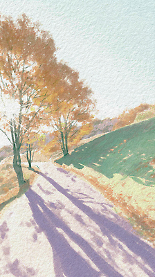 JPG 나무 길 컬러 일러스트 자연 하늘 따뜻함 그림자 풍경 햇빛 평화 산책 감상 가을 조용 길가 나무그늘 뷰티풀 오후 국내일러스트 AI일러스트 AI콘텐츠 식물 계절 컨셉 휴식 태양 그늘 생태계 파일형식