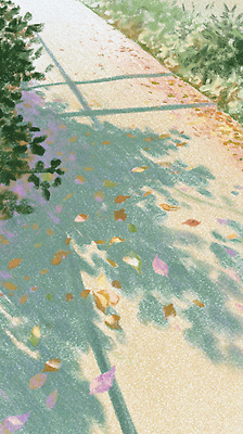 JPG 나무 컬러 낙엽 잎 일러스트 자연 하늘 나뭇잎 거리 돌담 그림자 풍경 일상 햇빛 고요 산책 산책로 가을 국내일러스트 AI일러스트 AI콘텐츠 식물 계절 길 휴식 라이프 담장 태양 돌_바위 생태계 파일형식